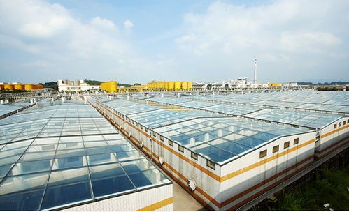 中國(guó)食品制造大王 調(diào)味品界的茅臺(tái)，億萬富豪工廠的“不打醬油”經(jīng)營(yíng)哲學(xué)